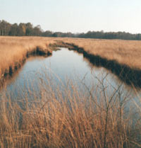 vergraving_wierdenseveld